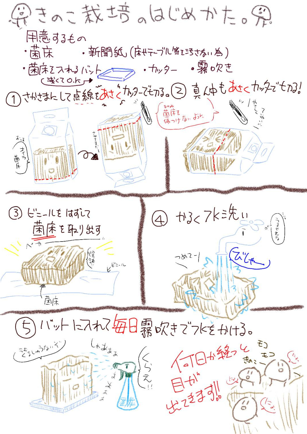 リバイバル販売　しいたけ菌床＆乾燥きのこ
