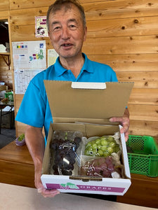 グレープランドあきづか内　ルミエール園から美味しく実ったぶどうをあなたに
